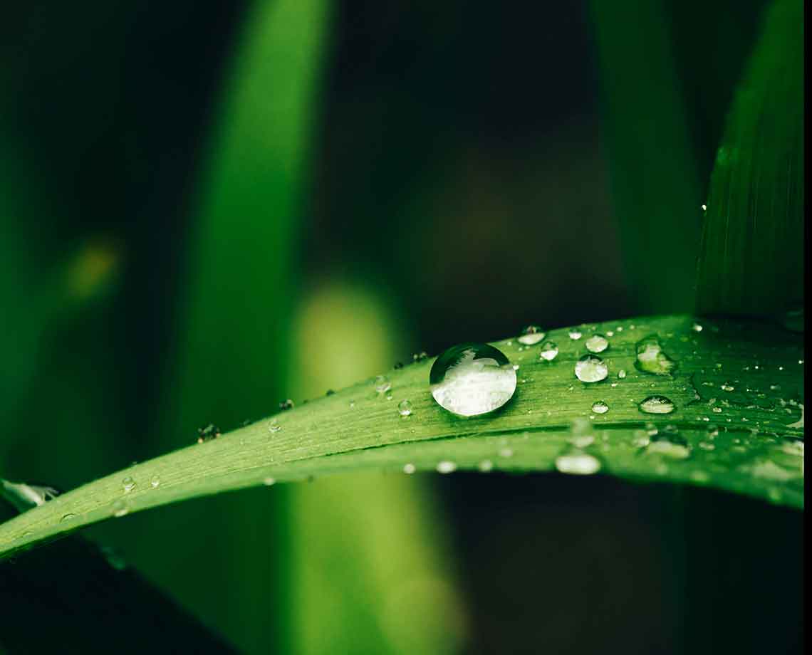 Watering Equipment from CutAbove