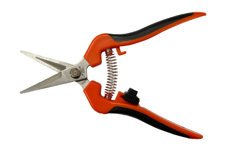 Stainless Steel Snips