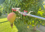 3M Cut and Hold Pruner
