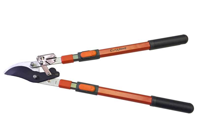 Ratchet Lopper - Bypass