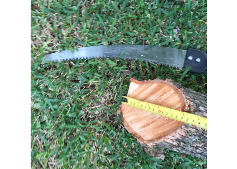 Tree Pole Saw
