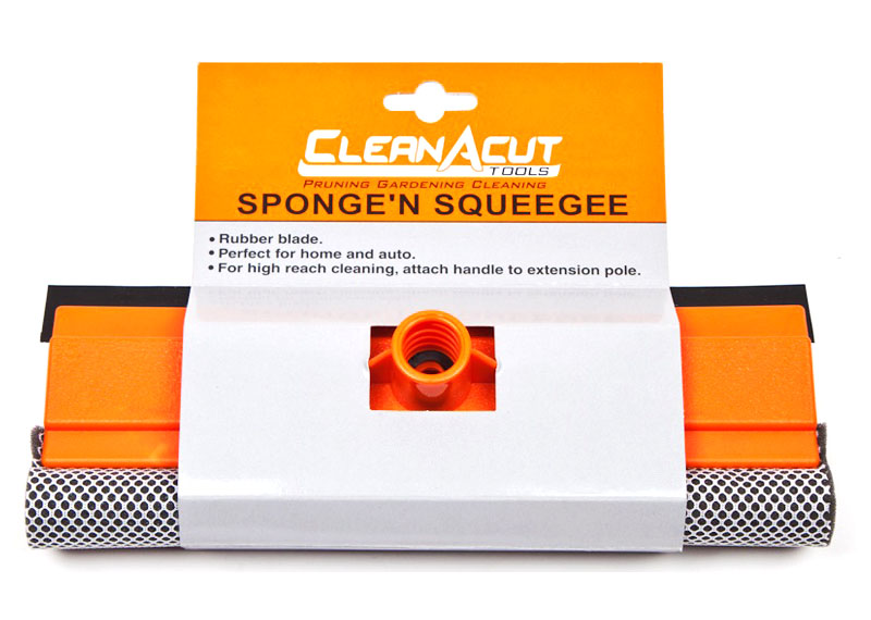 Sponge and Squeegee